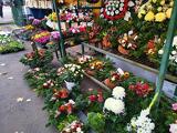 HÉTVÉGÉRE -  Pár száz forinttól akár több tízezerig költhetünk idén temetői virágdíszekre