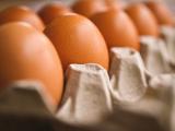 Szétszívatja a magyar gazdákat az uniós hivatal javaslata?