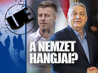 Ulta Emebere Ukrana EU-s tagságáról szóló szavazások 