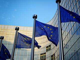 Miniszteri biztost kapott az EU szuverenista megreformálása
