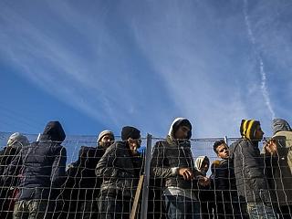 500-1000 oltalomra szoruló menekült kaphat idén védelmet nálunk