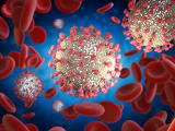 Koronavírus: enyhén, de növekedett a halálozások száma. 