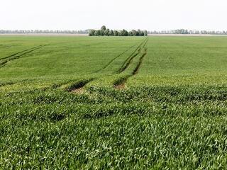 Kaptak egy jó hírt a magyar gazdák, ezt a díjat nem kell befizetni