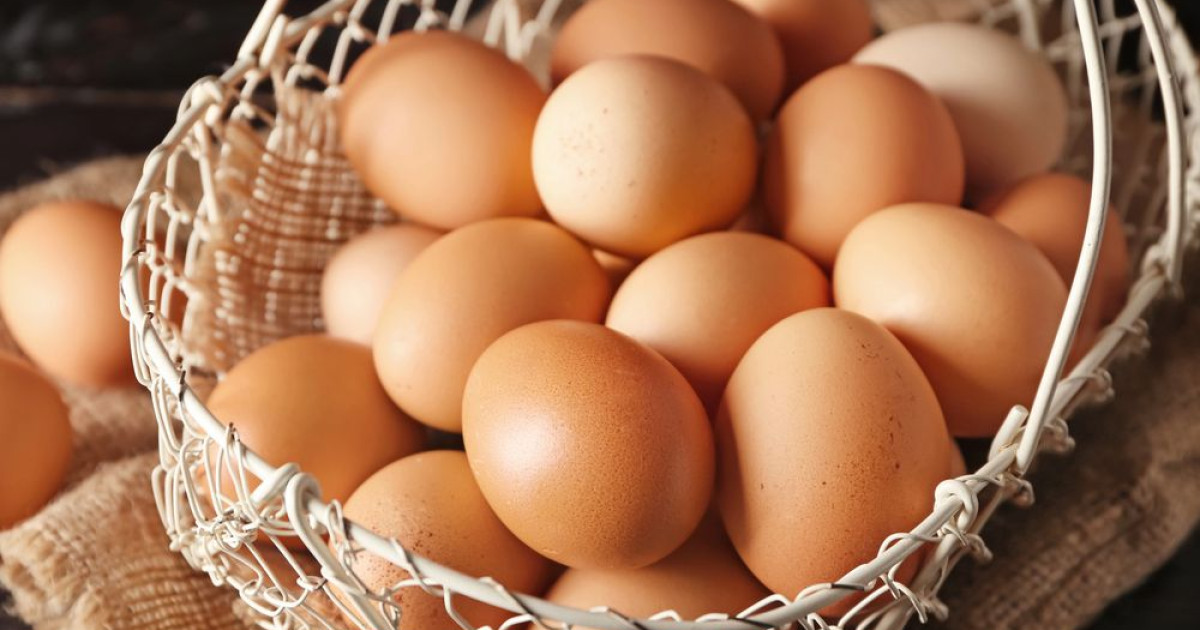 Itt egy nem akármilyen adat a magyar tojásokról – A hét ábrája