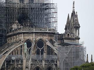 Óriástölgyeket ajánlottak fel a Notre-Dame újjáépítéséhez