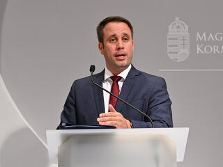 Megvan a botrányba keveredett Fideszes képviselő utódja