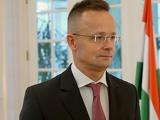 Német cégeket győzködött itthon a magyar külügyminiszter