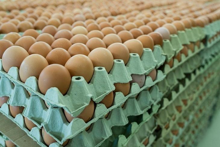 Az más kérdés, lesz-e elég tojás? Fotó: MTI