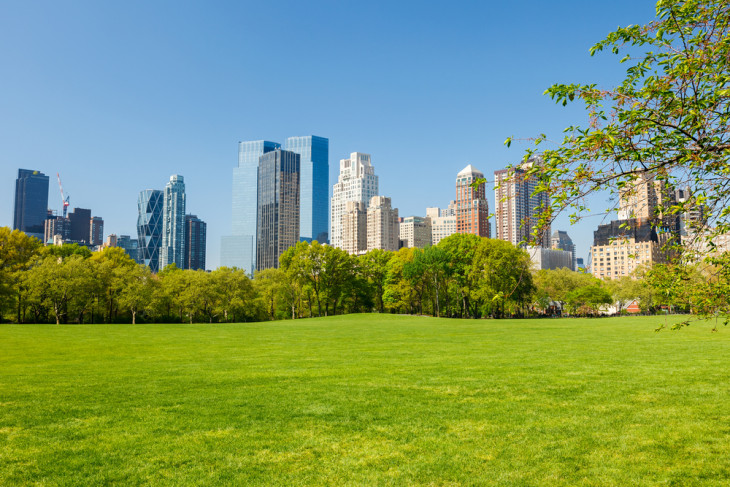 A Central Park látványát is meg kell fizetni