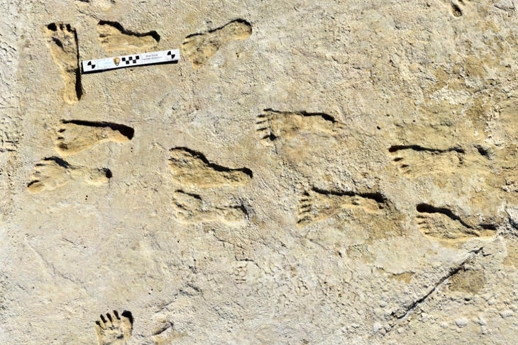 A korábban ismerteknél tízezer évvel régebbi lábnyomok a White Sands Nemzeti Parkban (Fotó: Bennett et al., doi: 10.1126/science.abg7586)