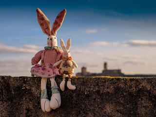 Újabb veszélyes vírus terjed Magyarországon