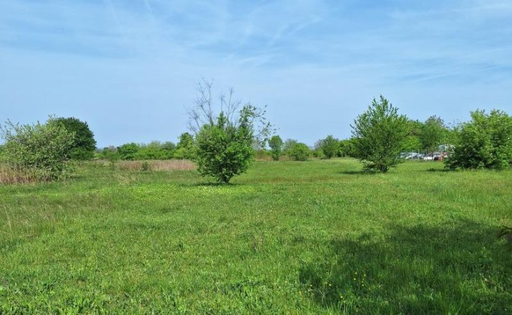 Egy egyszerű mezőnek tűnik, ám komoly adósság terheli