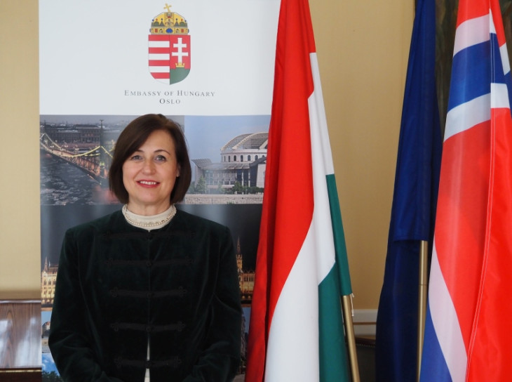 Sándorfi Eszter, leváltott oslói magyar nagykövet