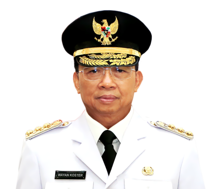 A kormányzó, Wayan Koster szigorú tekintettel néz a valóságra