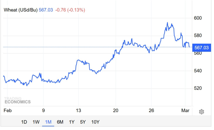 A búza árának alakulása az árupiacon az elmúlt egy hónapban. Forrás: Trading Economics