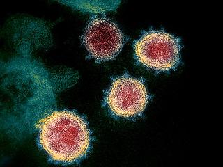 Már az 5 ezret közelíti az aktív koronavírusosok száma az országban