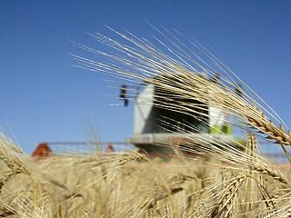 Tavaly 2,7 százalékkal nőttek a mezőgazdasági termelői árak