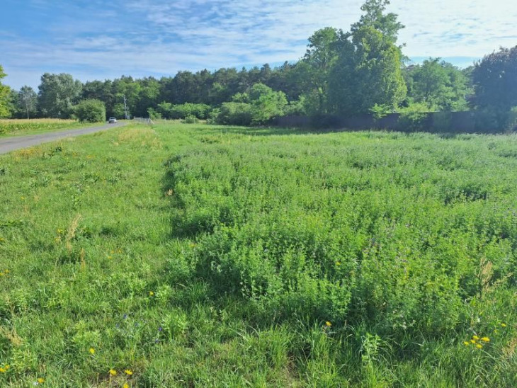 Vajon meglátja valaki a fantáziát a beépíthető ingatlanban?