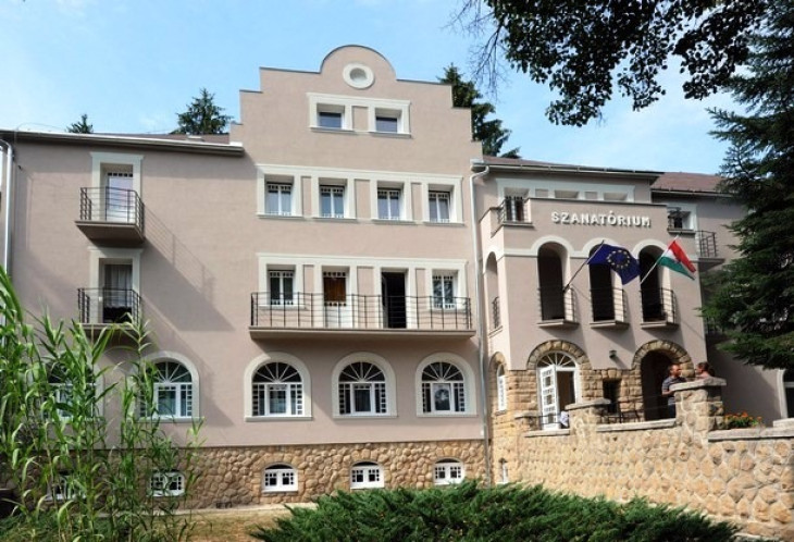 Csak egy ajánlat érkezett az árverésen