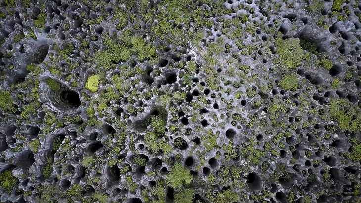 Nem Nauru, hanem Makatea felszíne, de a lényeg ugyanaz. Így néz ki a talaj felülről, miután kibelezték foszfát után kutatva. (Forrás: YouTube)