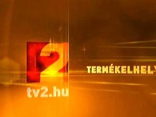8 millióra bírságolta az NMHH a TV2-t