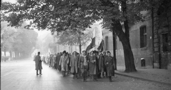 Tényleg lenne párhuzam a fehérterror, a nyilas rémuralom és az 1956-os „ellenforradalom” között?