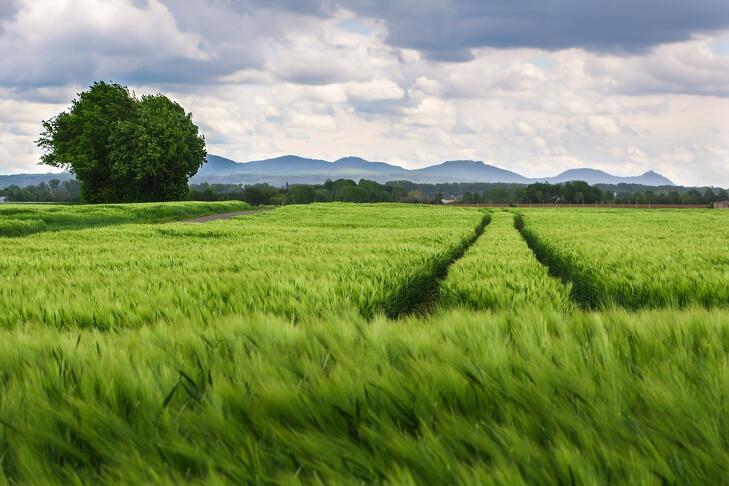 Több folyamat is zajlik az agráriumban