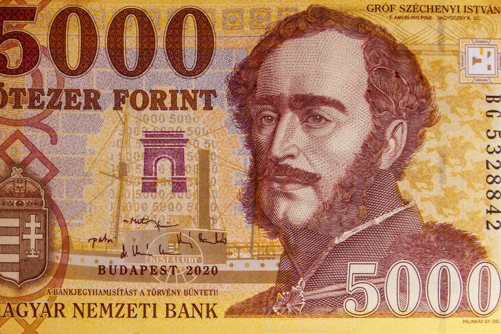 Előfordulhat, hogy Széchenyi István helyett Judith Sargentini köszön vissza az ötezresről.