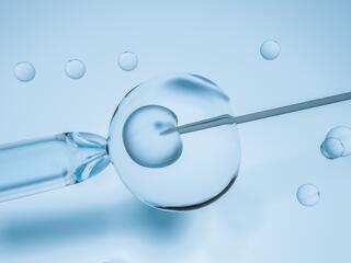 A Demokratikus Koalíció kiáll a petesejt donáció engedélyezését