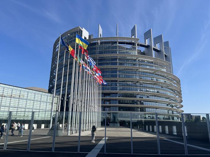Az EP-jelentésében külön szegmenst kapott Magyarország