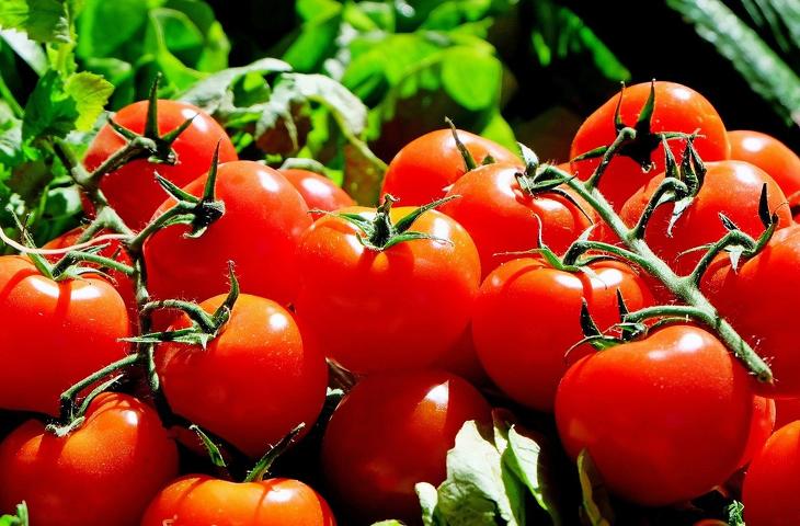 Lassan már minden zöldség megfizethetetlen lesz. Fotó: Pixabay