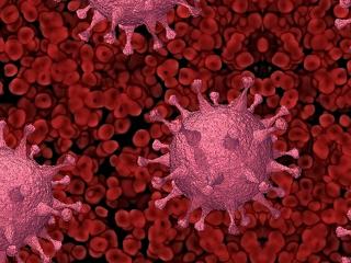 Remek hír érkezett a koronavírus-járványról