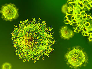 A közelünkből érkezett a bizonyíték: gyorsan el lehet kapni újra a koronavírust