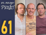 Korai még temetni a Fideszt? Ez Viszont Privát