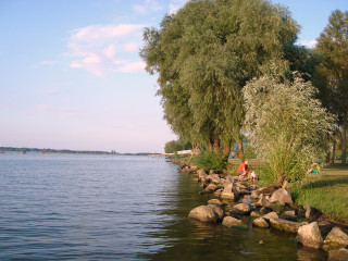 Tisza-tó