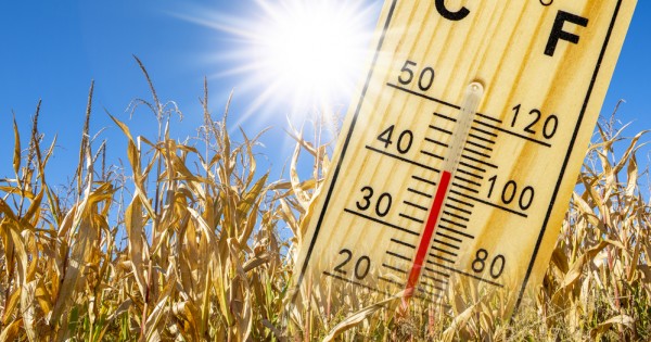 Még forróbb nyarakra és enyhébb telekre számíthatunk Magyarországon, ha a globális felmelegedés továbbra is ilyen ütemben folytatódik 
