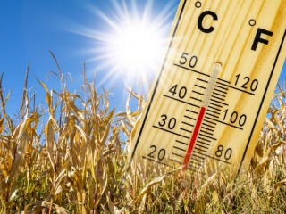 Még forróbb nyarakra és enyhébb telekre számíthatunk Magyarországon, ha a globális felmelegedés továbbra is ilyen ütemben folytatódik 