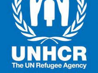 UNHCR Forrás: UNHCR Magyarország