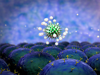 Itt vannak az új helyszínek, ahol T-sejtes immunválasz teszteket végeznek