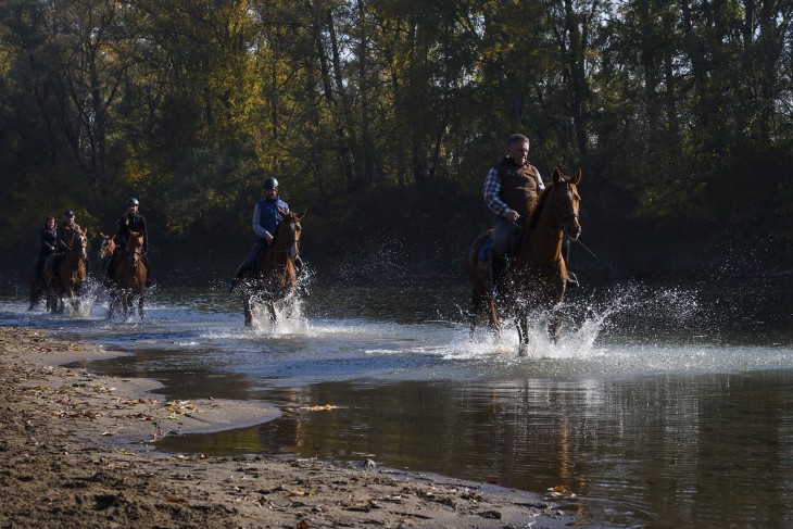 Több mint 3500 vizsgáztatott lovat tartanak számon. Fotó: Eurohorse