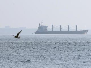 Moszkva tagadja, hogy feltartóztatnák az élelmiszert szállító hajókat