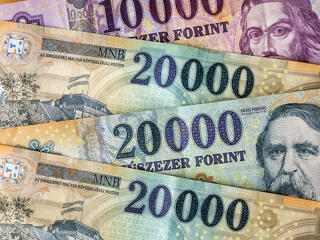 Felszegte a fejét a forint