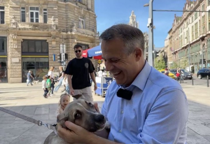 Juhász Péter egy egyfarkú kutyával barátkozik a Belvárosban