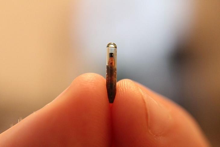 Egy bőr alá ültethető mikrocsip. (Forrás: Flickr)