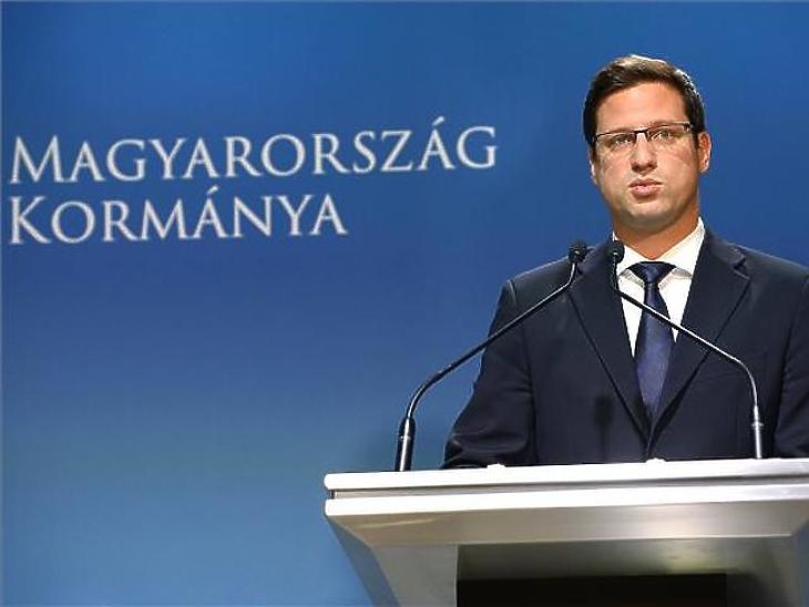 Gulyás Gergely