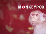 Hamarosan jöhet a majomhimlő elleni oltás Európában?