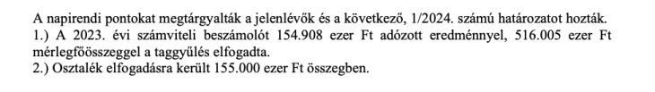 Részlet a Pizolit Kft. taggyűlési jegyzőkönyvéből