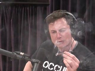 Elon Musk élő adásban szívott füvet, és bedobta, hogy elektromos repülőgépet tervez (videó)