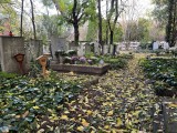 Fotó: Mfor / Dobos Zoltán