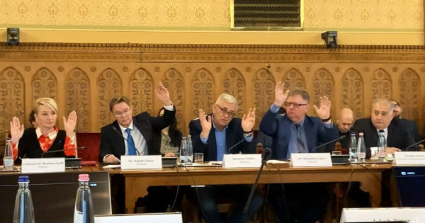 A Bizottság feltartott kézzel szavaz